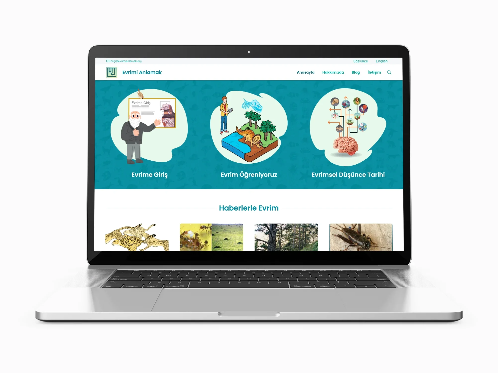 evrimianlamak evrimianlamak